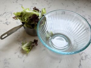 Cooking with Yumbini is so easy and fast.