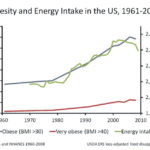Read more about the article Obesity: What happened in 1978?