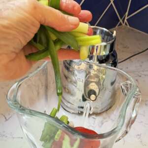 Yes, you can make veggies dip from Yumbini!